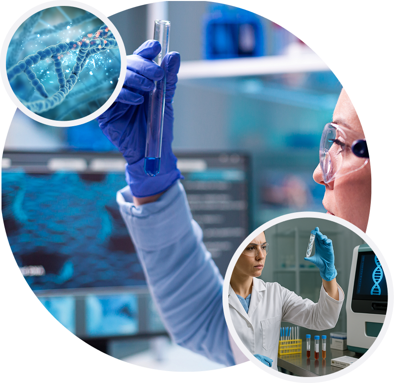 Imagem interna testes genéticos